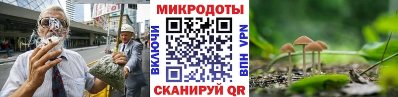 Купить  Липки  Галлюциногенные грибы прущие грибы 